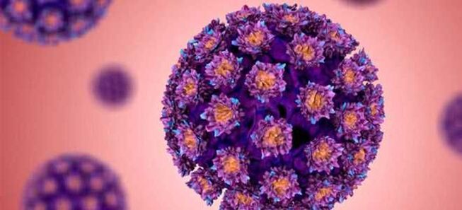HPV - Virusul papiloma uman